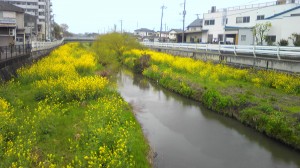 Scenery_001