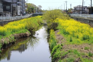 Scenery_002